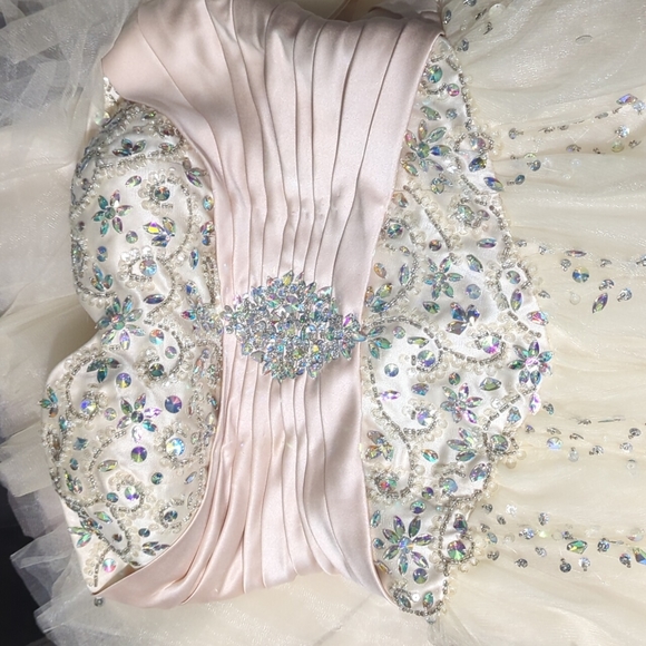 Prom Dress - Picture 5 of 7